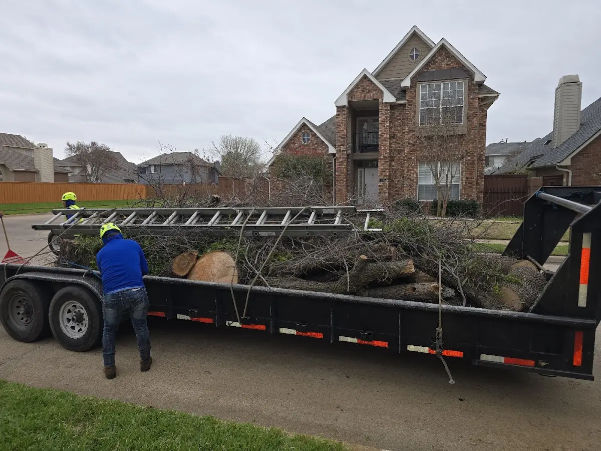 Expert Tree Fertilization with proper safety equipment in Altoona